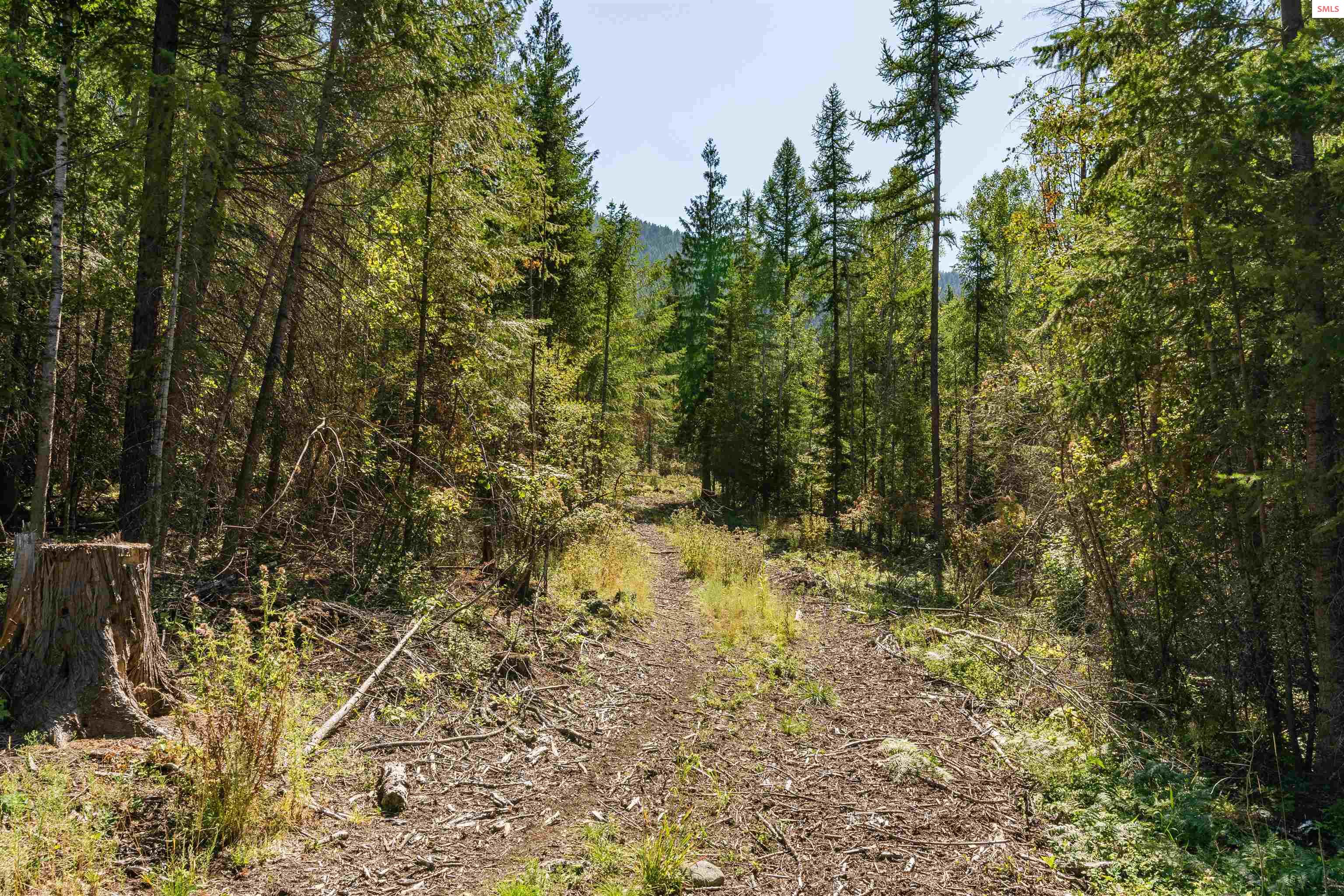 Nna Diamond Road Bonners Ferry, ID 83805 - Photo 23 of 36