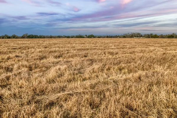 a view of a large building with lots of trees in back