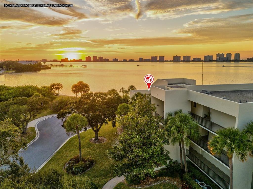 50 Coe Road, Unit 126 Belleair, FL 33756 - Photo 36 of 39 a view of a lake with a outdoor space