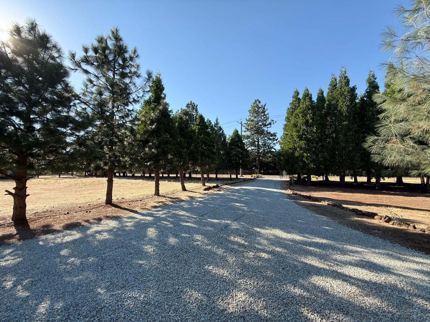 5000 Wilson Hill Road Manton, CA 96059 - Photo 54 of 63