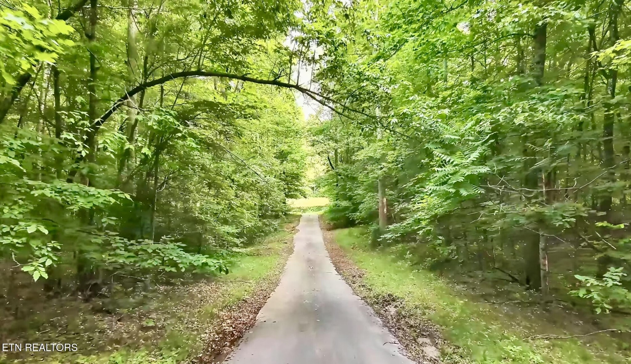 a view of a pathway both side of yard
