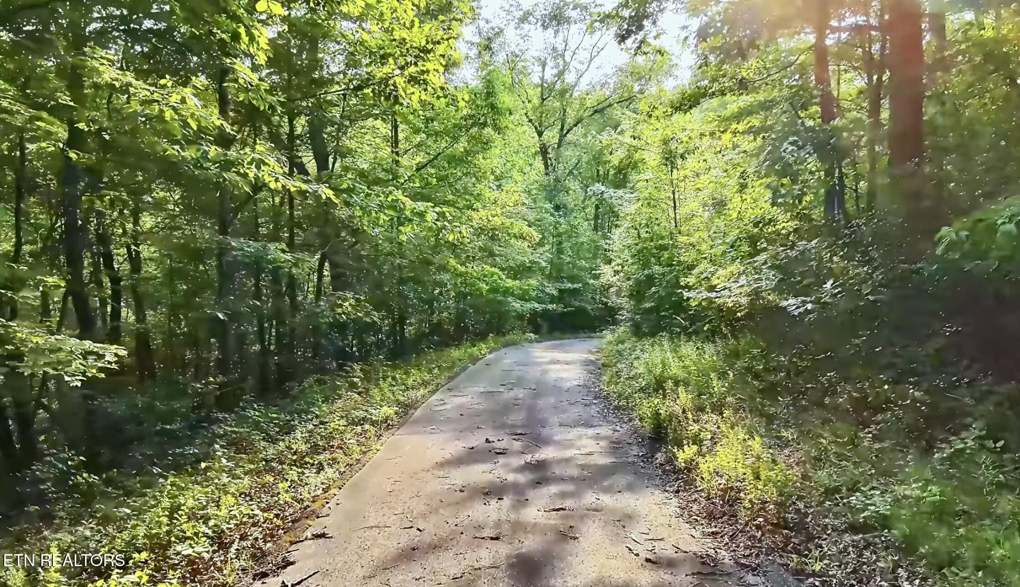 2457 Mayland Road Crossville, TN 38571 - Photo 14 of 37 a view of a pathway both side of yard