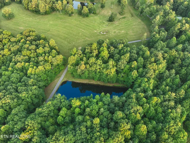 a view of a green field with an ocean