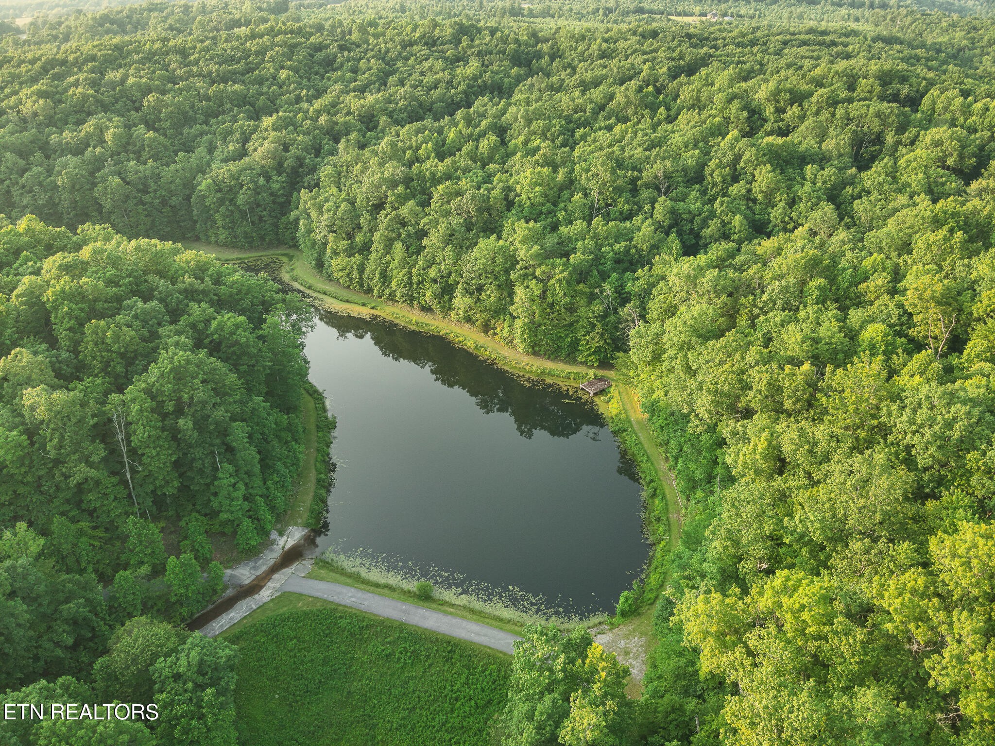 2457 Mayland Road Crossville, TN 38571 - Photo 22 of 37 a view of a lake from a yard