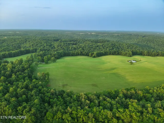 a view of a field with an ocean