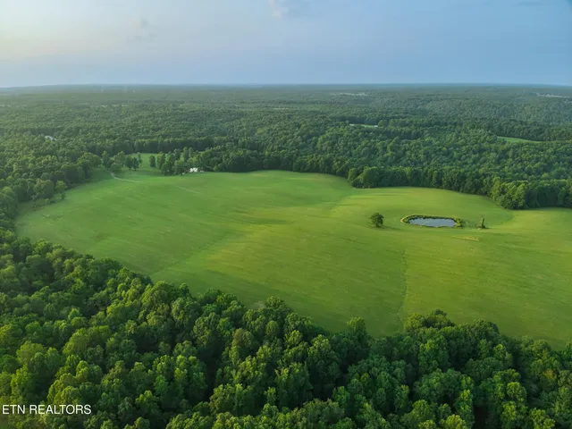 a view of a golf ground with huge green field and large trees
