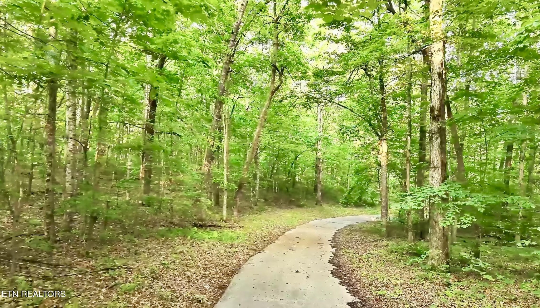 2457 Mayland Road Crossville, TN 38571 - Photo 24 of 37 a backyard of a house with lots of green space