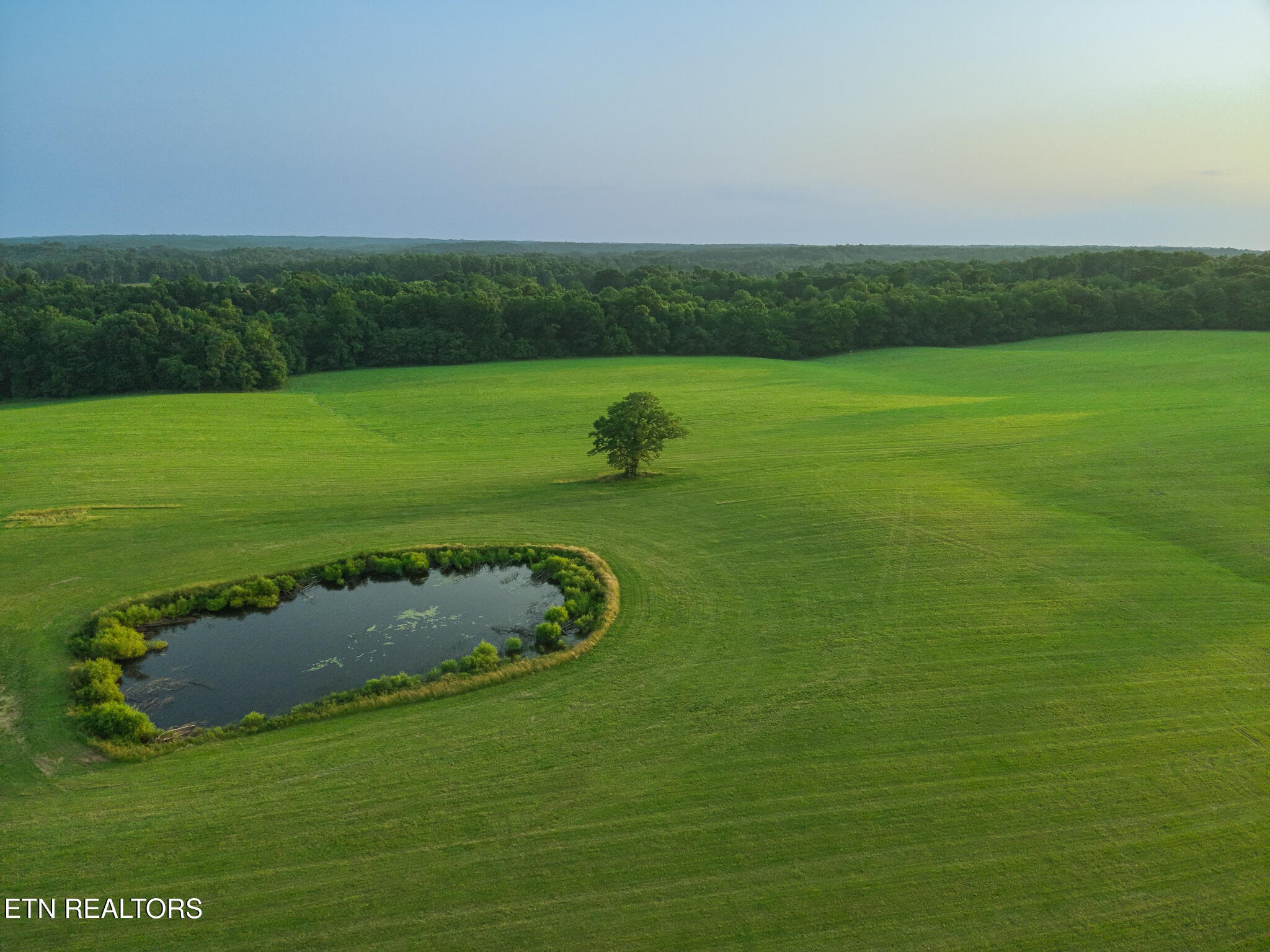 2457 Mayland Road Crossville, TN 38571 - Photo 27 of 37 a view of a golf ground with huge green field and large trees