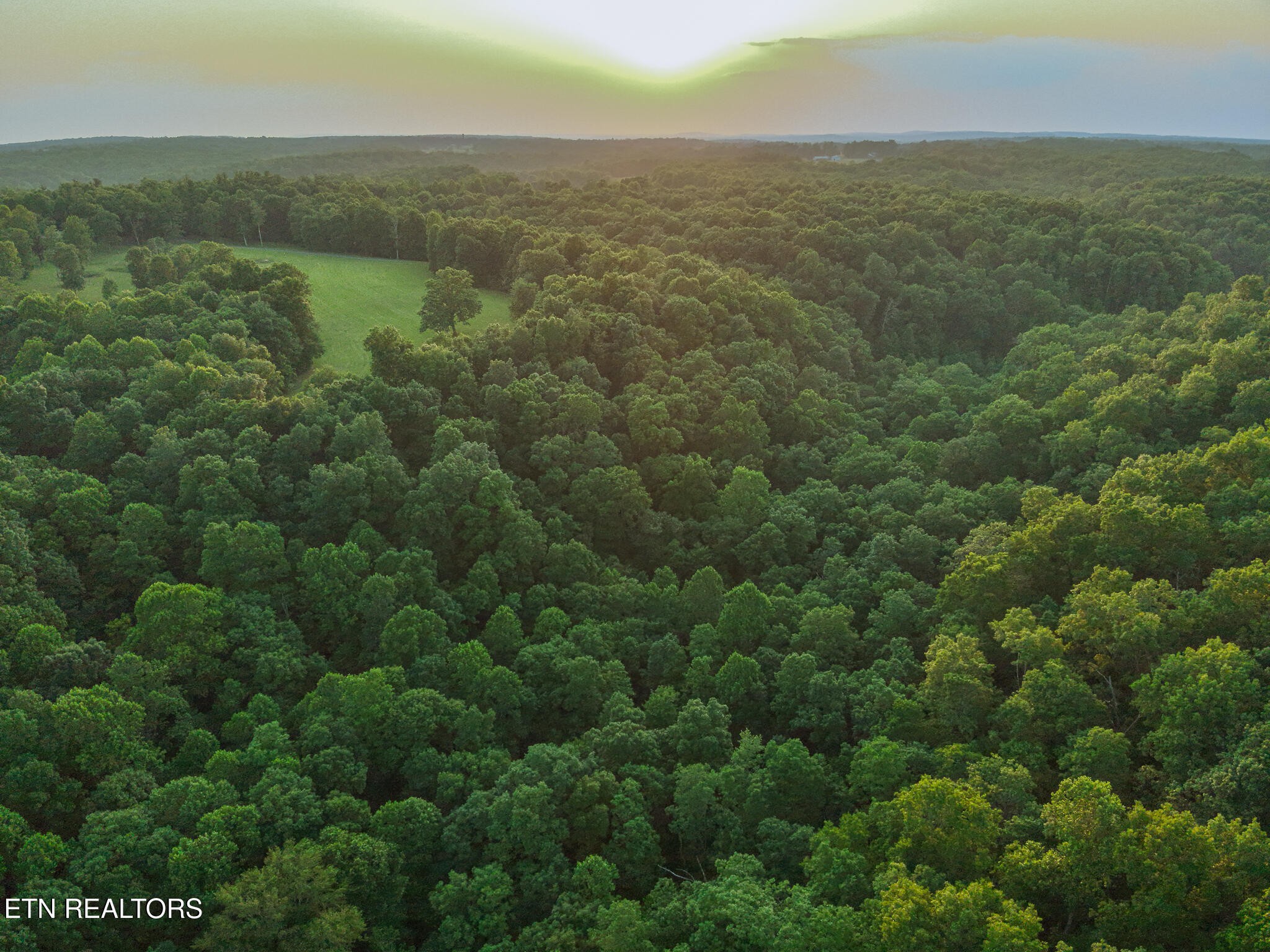 2457 Mayland Road Crossville, TN 38571 - Photo 29 of 37 an aerial view of residential houses with outdoor space and trees