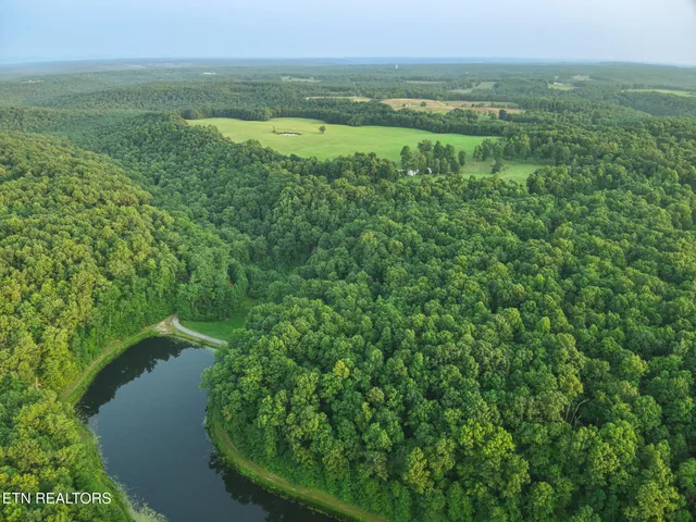 a view of a green field with lots of green space
