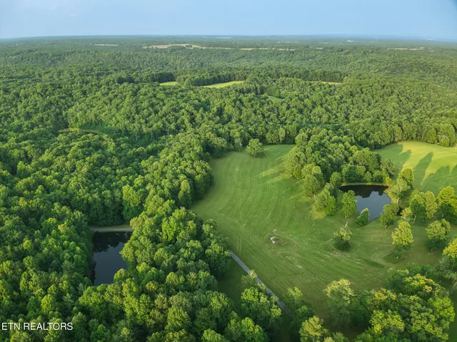 a view of a lush green forest with a lake