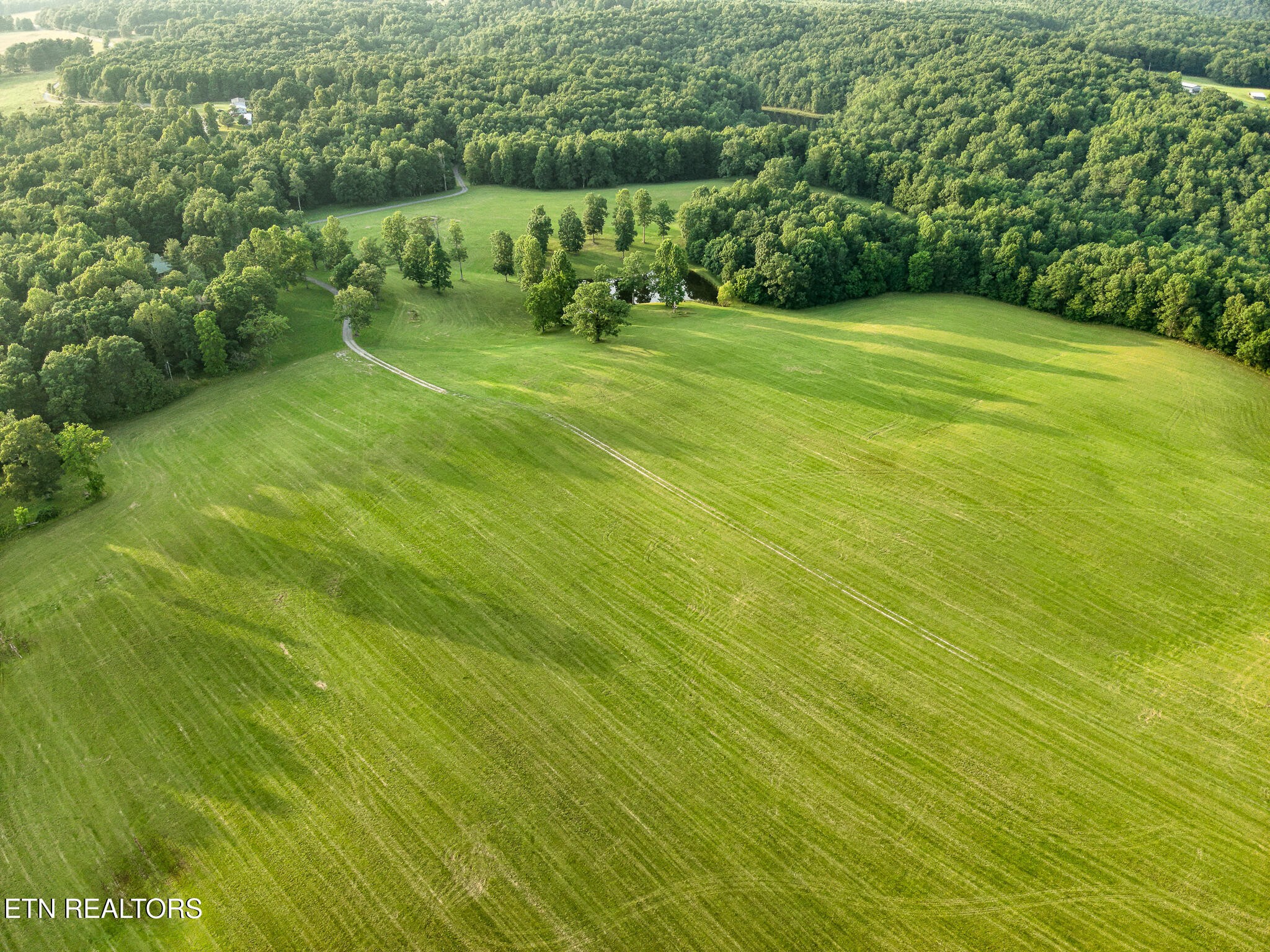 2457 Mayland Road Crossville, TN 38571 - Photo 7 of 37 a green field with lots of trees