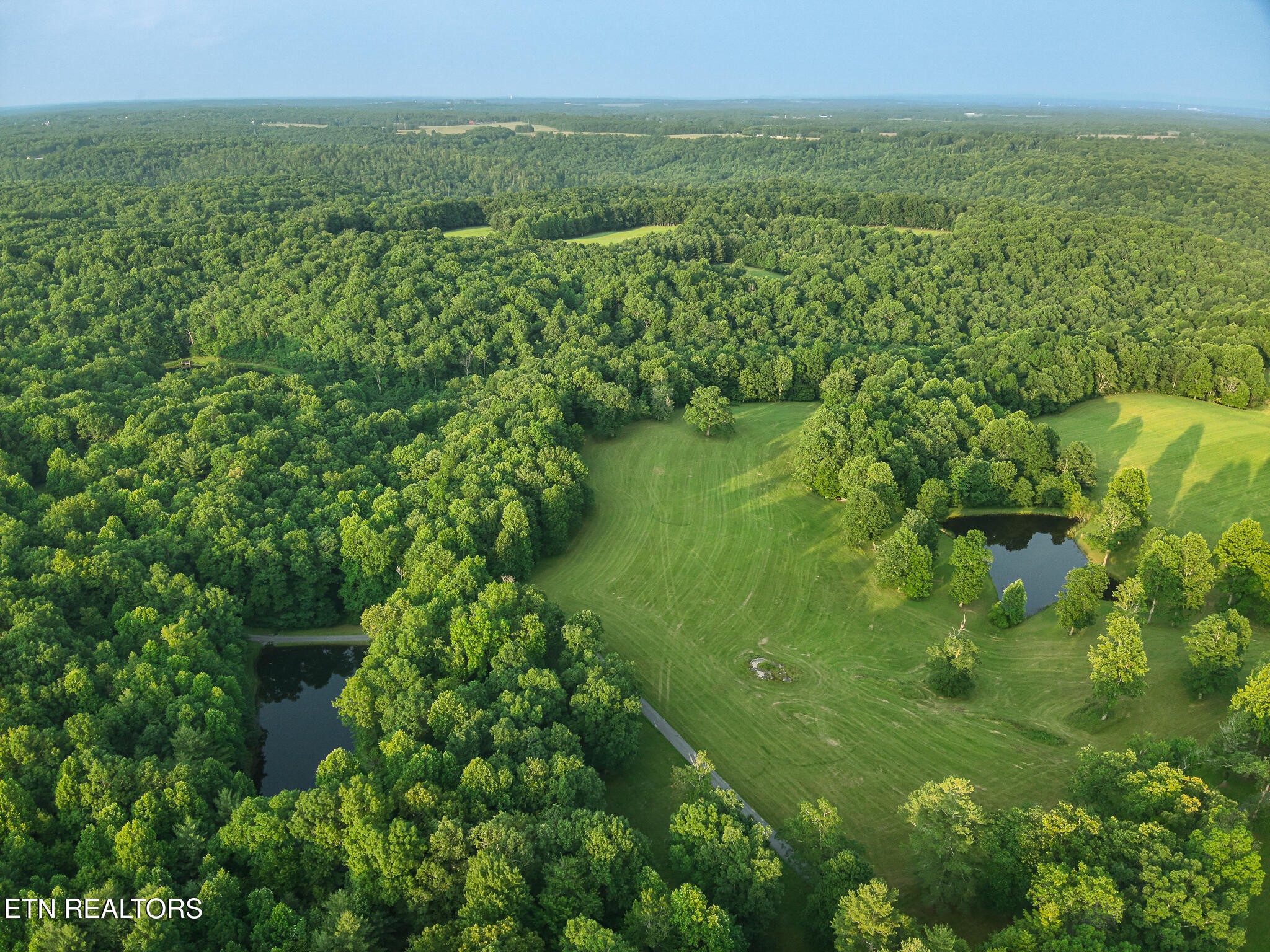 2457 Mayland Road Crossville, TN 38571 - Photo 9 of 37 a view of a lush green forest with a lake