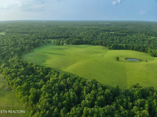 a view of a field with an ocean