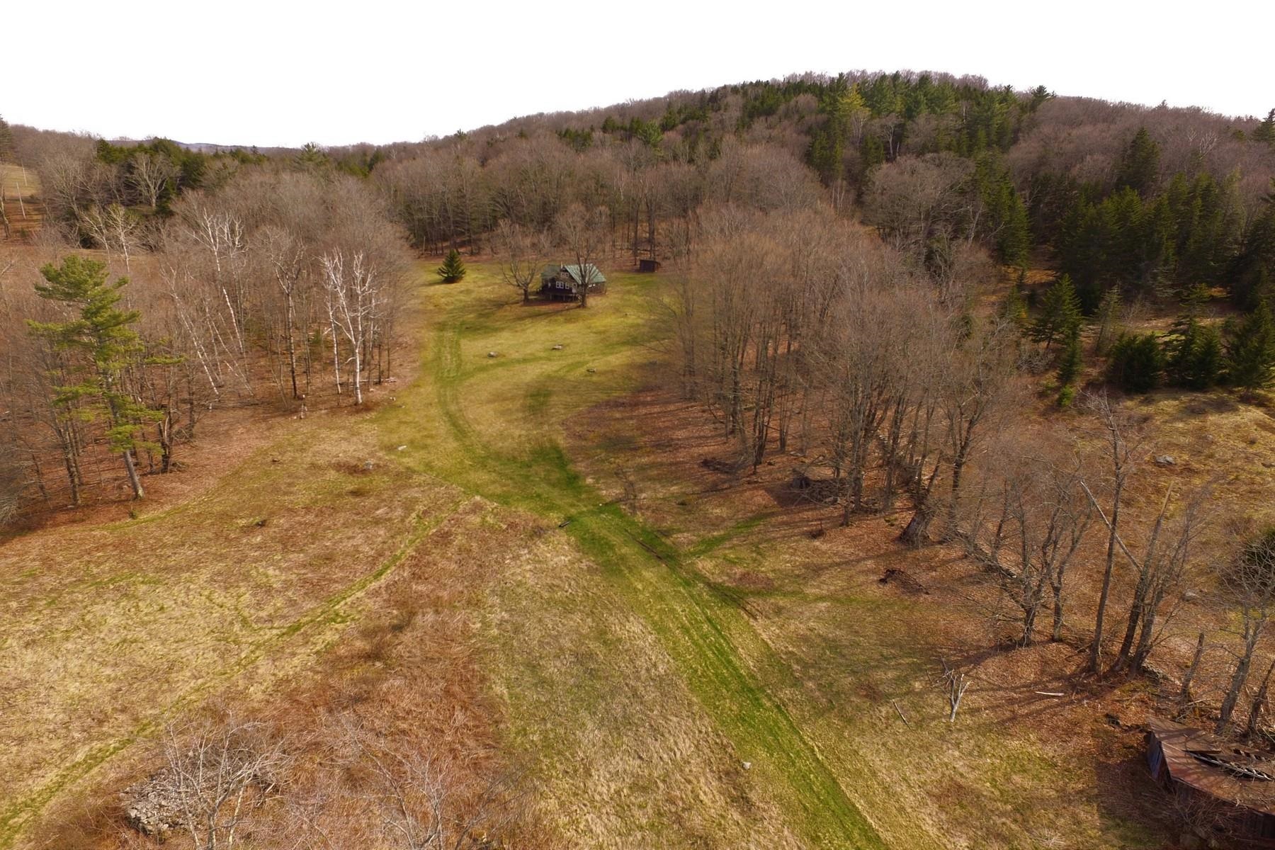 1133 Bixby Road Wallingford, VT 05742 - Photo 3 of 24