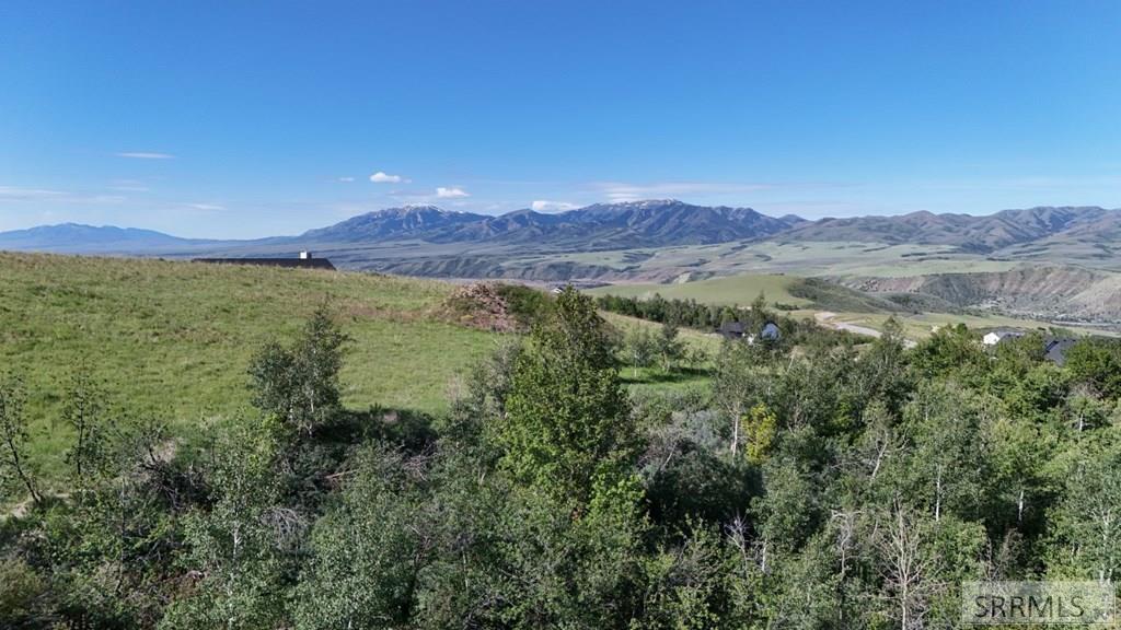 1398 Mogul Lane Inkom, ID 83245 - Photo 8 of 33