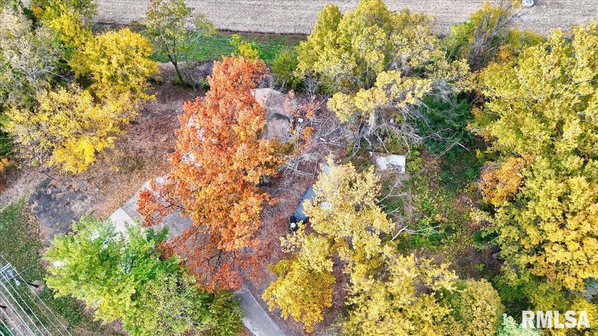 3011 Niccolls Road Springfield, IL 62703 - Photo 26 of 28