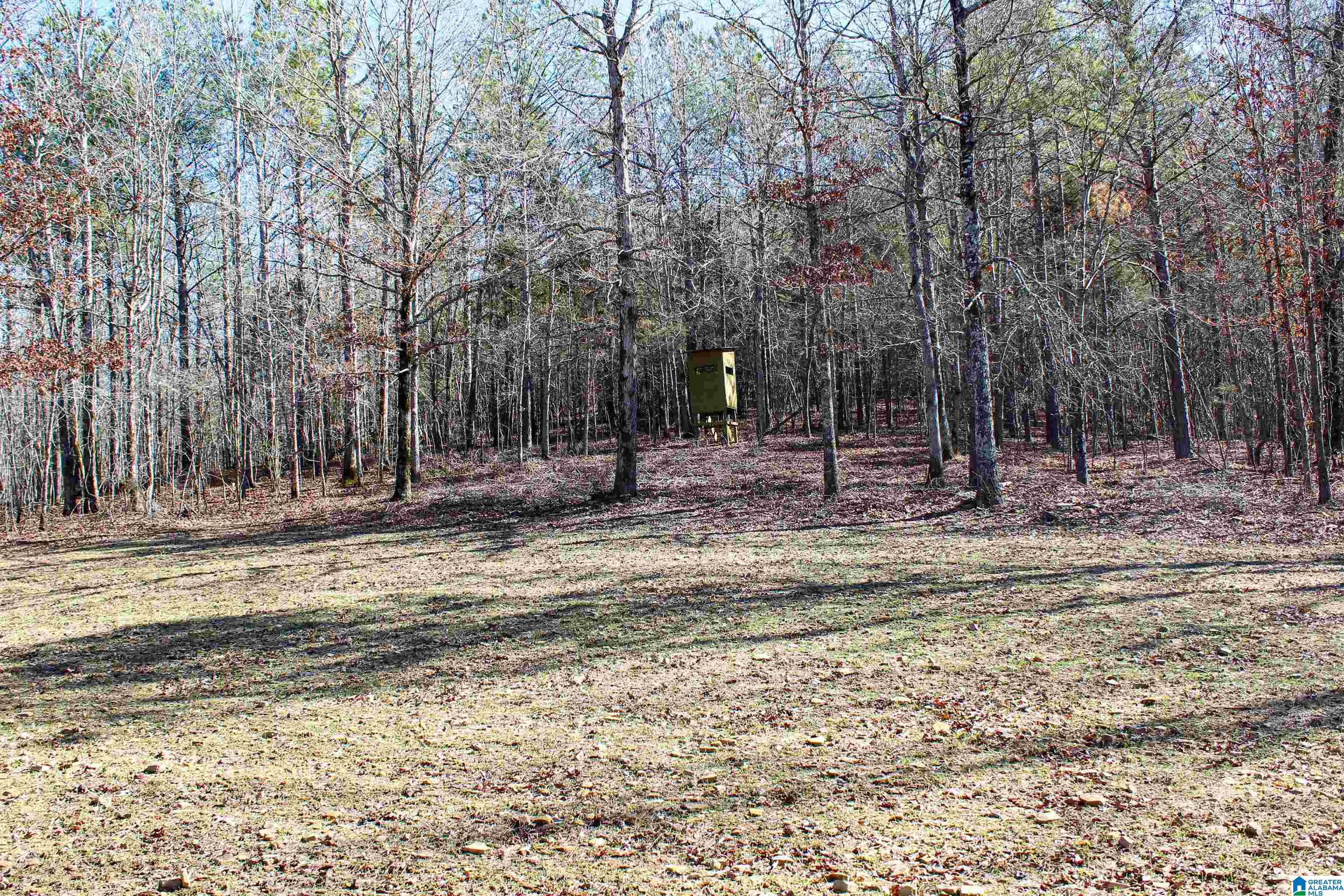 29 Highway Williams Road, Unit ARCHIE Hamilton, AL 35570 - Photo 18 of 46