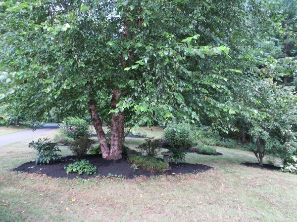 340 Mill Valley Road Belchertown, MA 01007 - Photo 27 of 27 Gallery Image 27