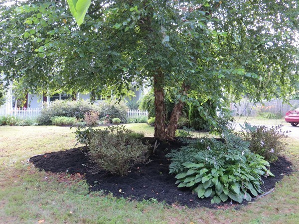 340 Mill Valley Road Belchertown, MA 01007 - Photo 6 of 27 Gallery Image 6