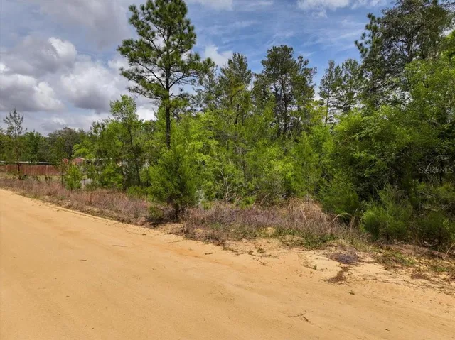 $8,900 | 118 Patch Street, Interlachen, FL 32148