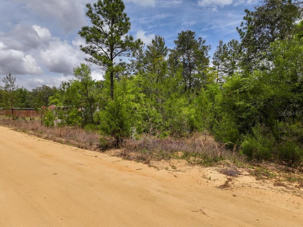 118 Patch Street Interlachen, FL 32148 - Photo 11 of 15