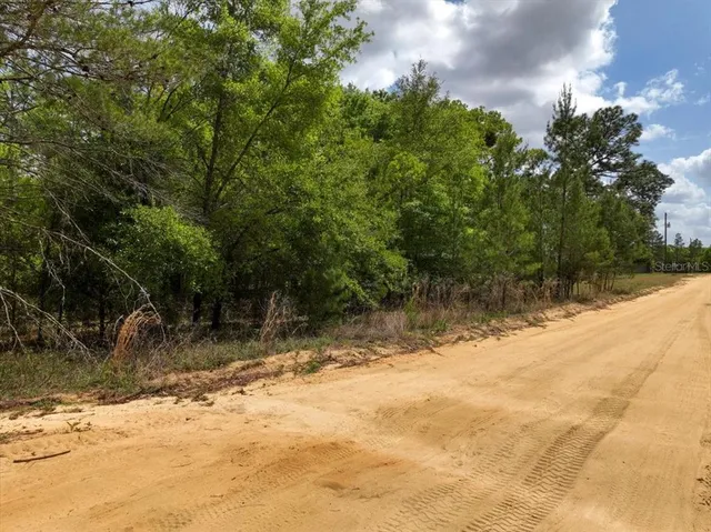 $8,900 | 118 Patch Street, Interlachen, FL 32148