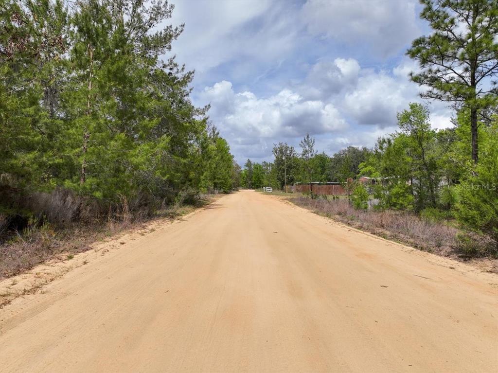 118 Patch Street Interlachen, FL 32148 - Photo 13 of 15