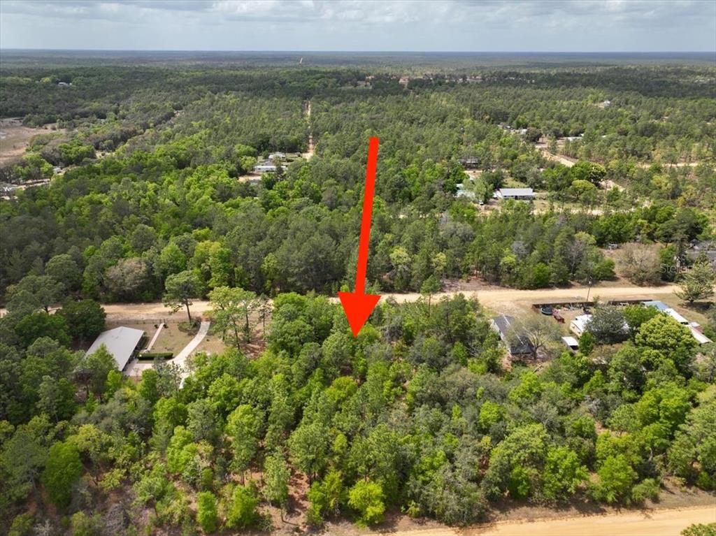 118 Patch Street Interlachen, FL 32148 - Photo 15 of 15