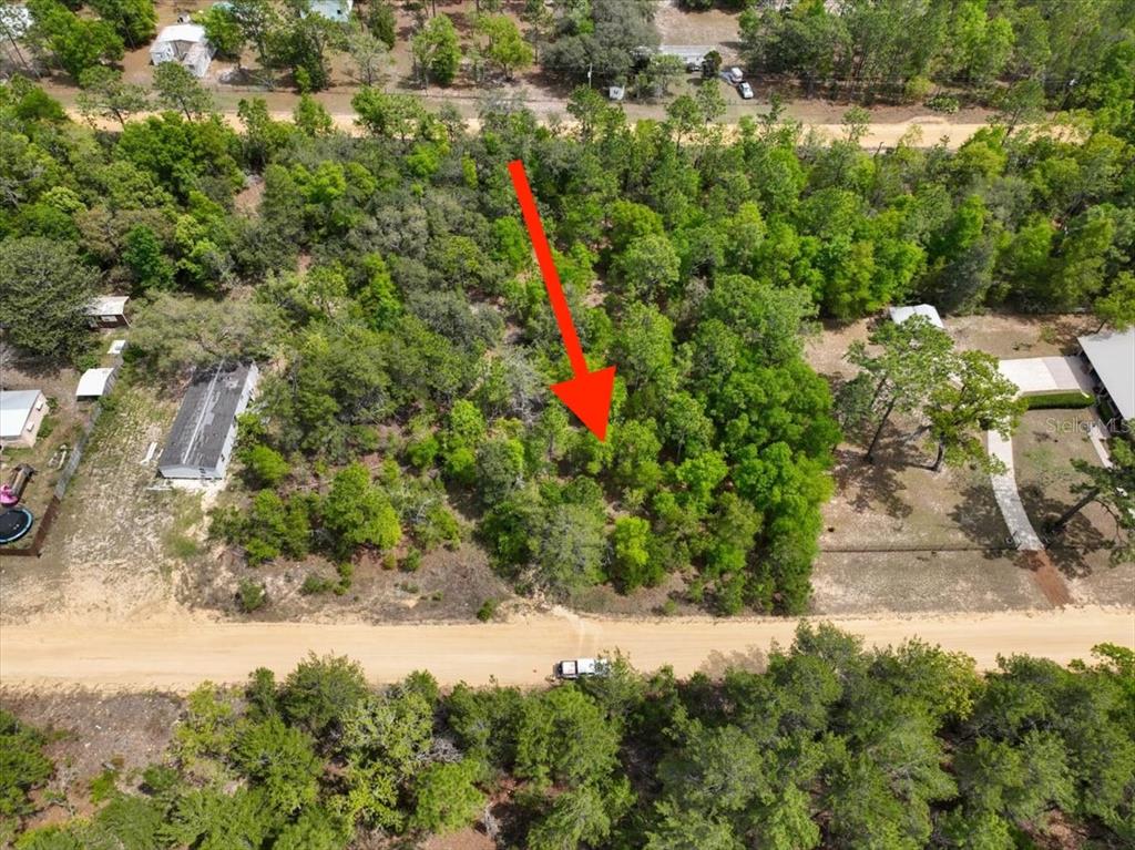 118 Patch Street Interlachen, FL 32148 - Photo 3 of 15