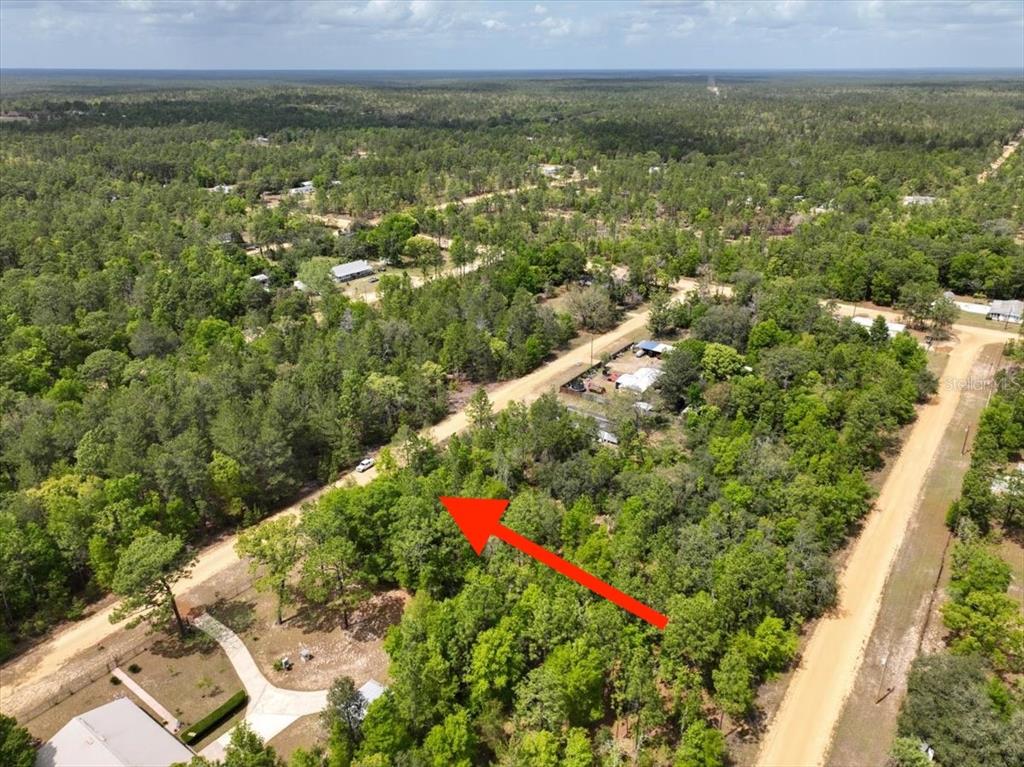 118 Patch Street Interlachen, FL 32148 - Photo 8 of 15