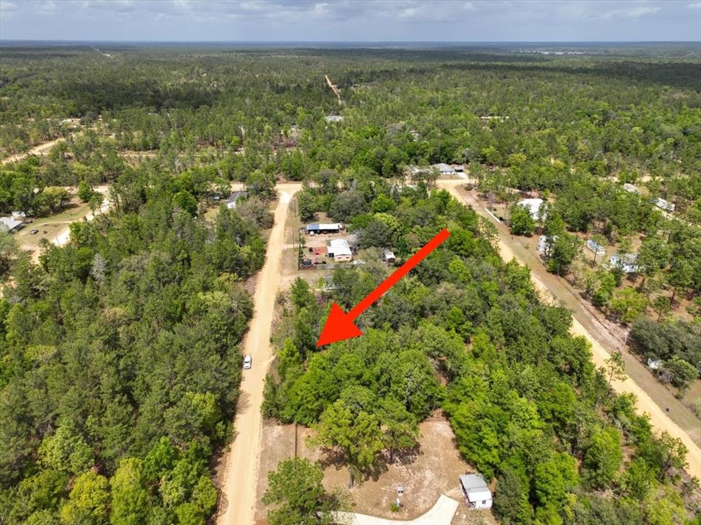 118 Patch Street Interlachen, FL 32148 - Photo 9 of 15