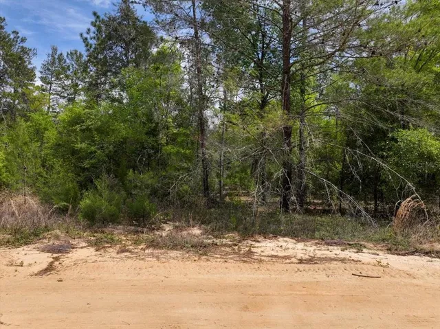 $8,900 | 118 Patch Street, Interlachen, FL 32148