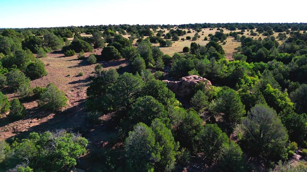 Tbd Bear Creek Road Walsenburg, CO 81089 - Photo 22 of 37