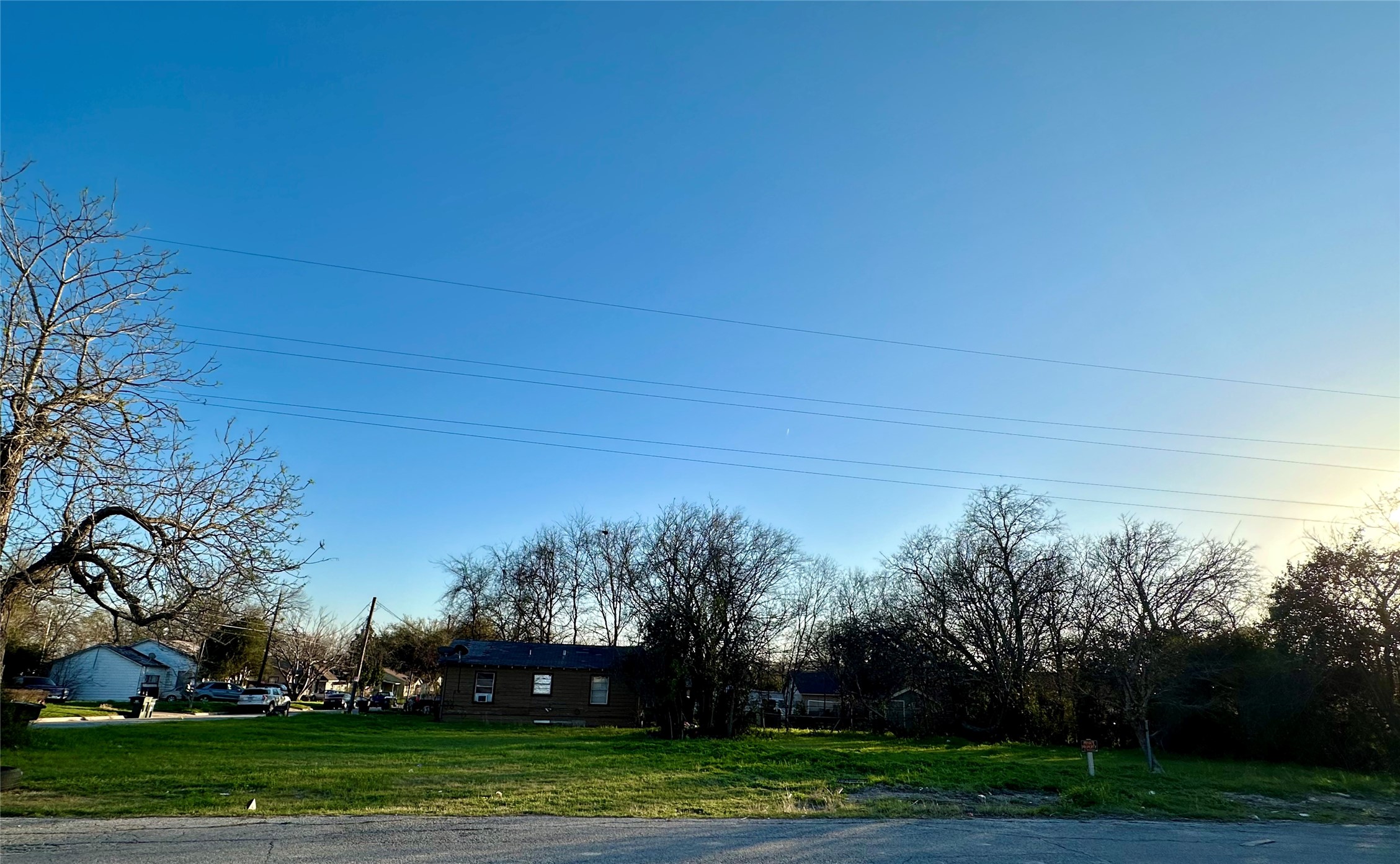 a view of a yard with large trees