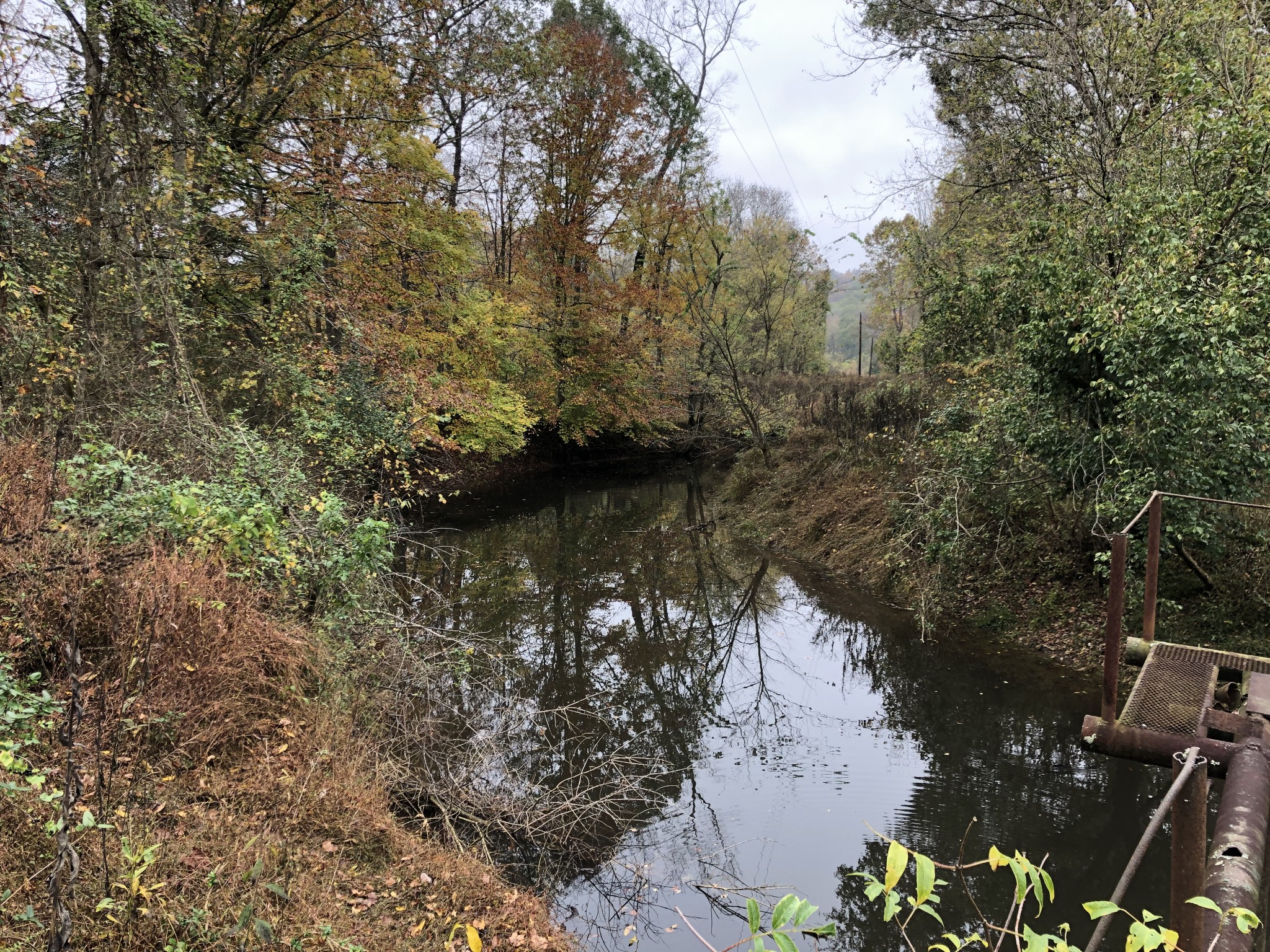 100 J P Grace Road Crofton, KY 42217 - Photo 6 of 9 a view of a lake in middle of forest