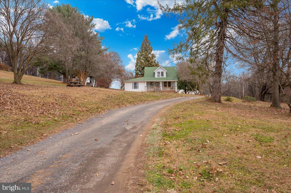 10891 Bethesda Church Road Damascus, MD 20872 - Photo 49 of 51 a view of road and trees