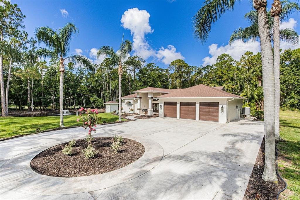824 Ranch Road Tarpon Springs, FL 34688 - Photo 1 of 1
