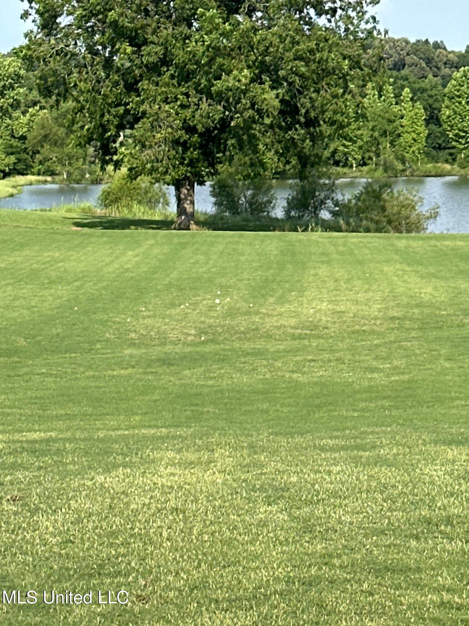 3088 Fogg Road South Hernando, MS 38632 - Photo 105 of 109 449205737_1233616364299315_6509854608742