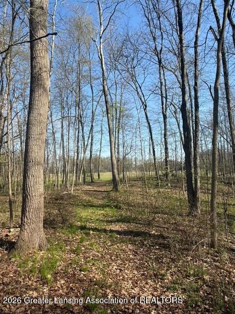 0 27 27 Mile Road Albion, MI 49224 - Photo 7 of 47 21