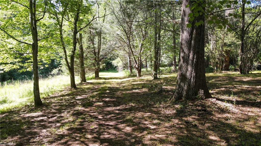 1215 Lucius Beasley Road Westfield, NC 27053 - Photo 16 of 25