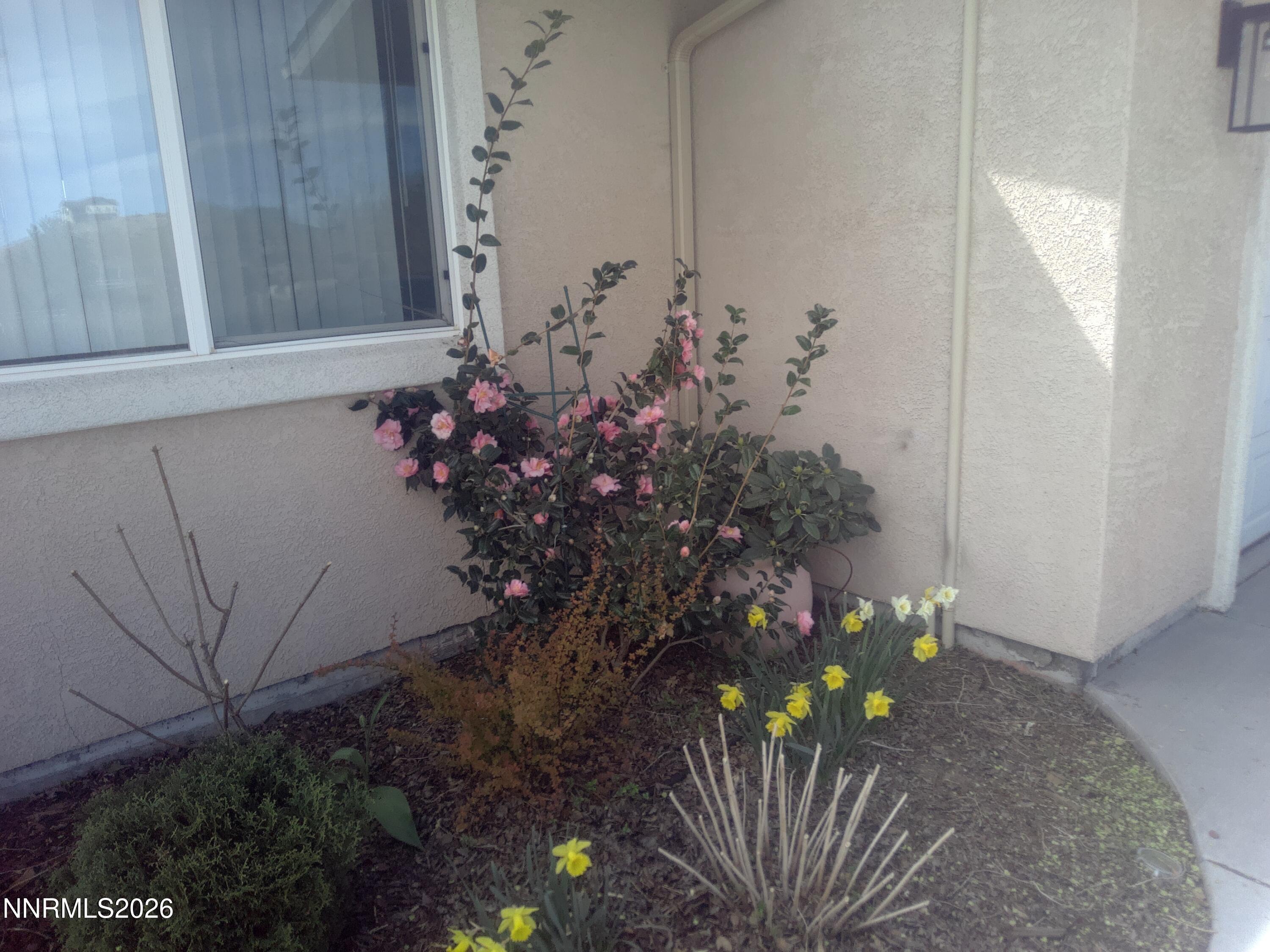 1520 Cherokee Trail Reno, NV 89521 - Photo 15 of 19 141