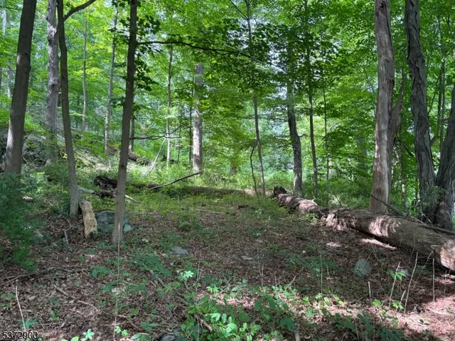 $75,000 | 300 Alphano Road, Great Meadows, NJ 07838