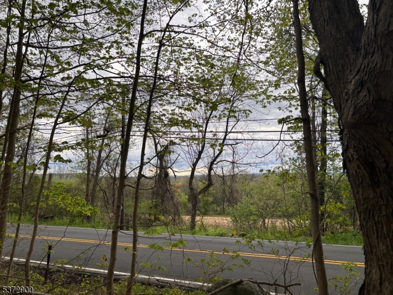 300 Alphano Road Great Meadows, NJ 07838 - Photo 1 of 7