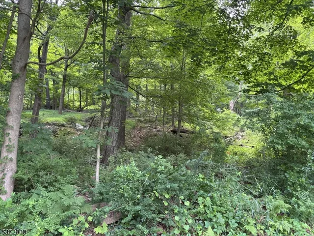 $75,000 | 300 Alphano Road, Great Meadows, NJ 07838