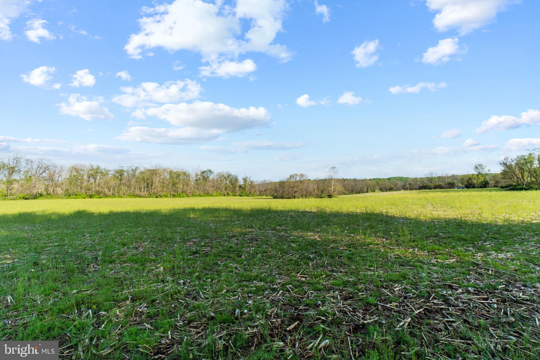3535 Butler Road West Reisterstown, MD 21136 - Photo 54 of 71 Grounds, back farmed field