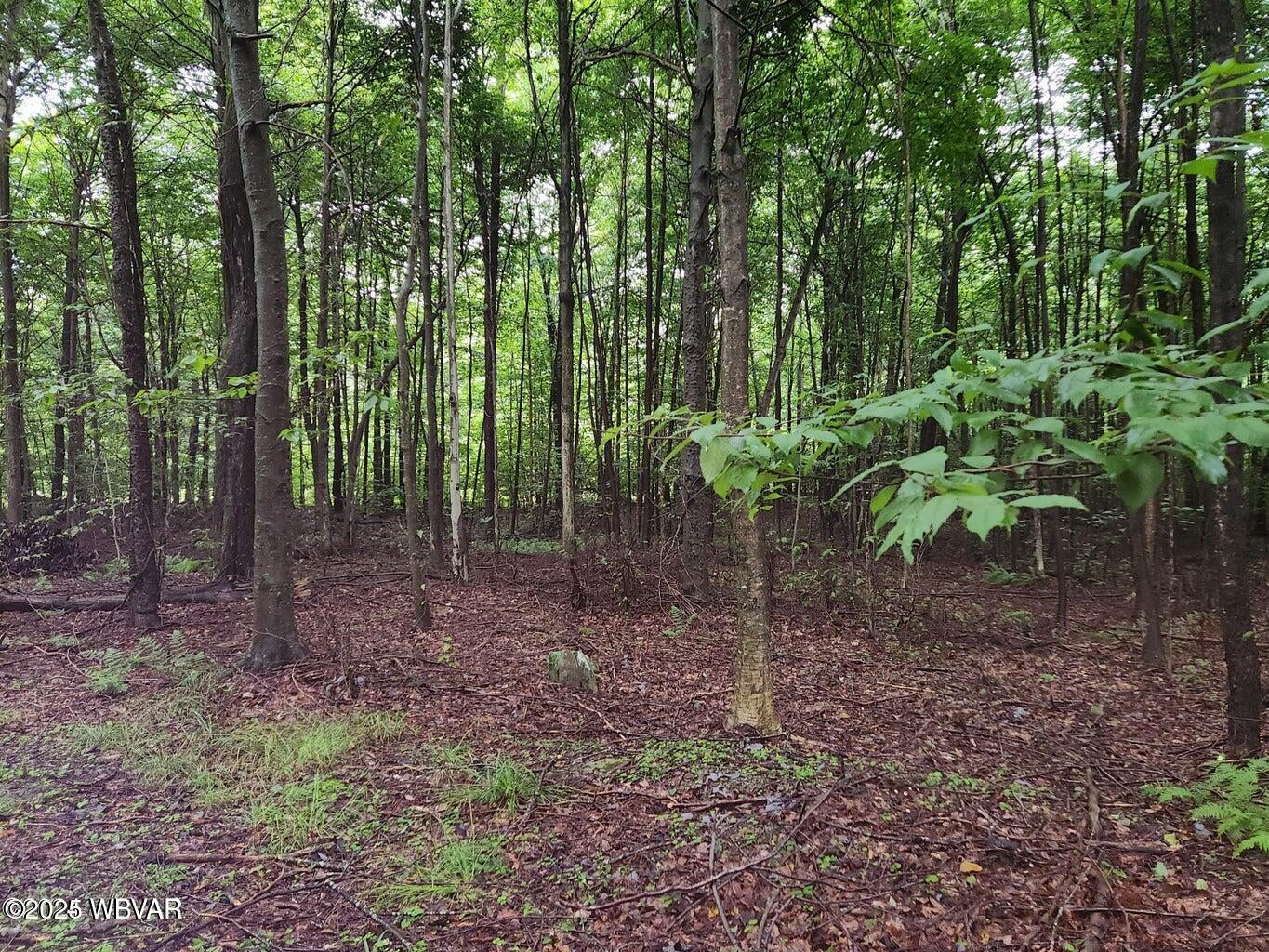 43 Spring House Road Muncy Valley, PA 17758 - Photo 20 of 22 20240807155529835482000000-o