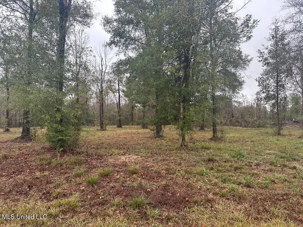 $135,000 | Bent Creek, Carriere, MS 39426