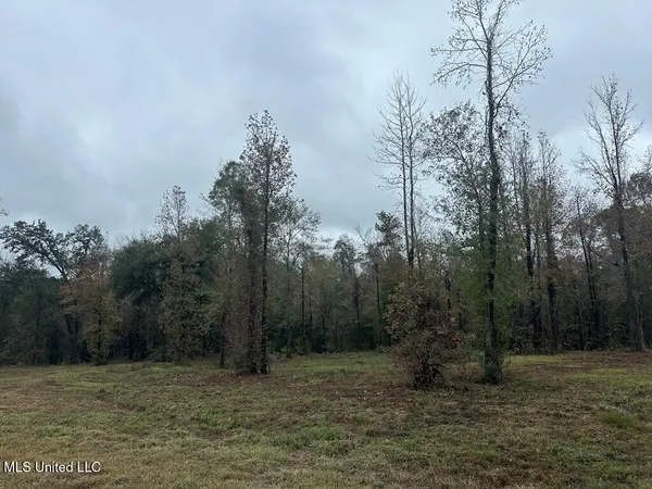 $135,000 | Bent Creek, Carriere, MS 39426