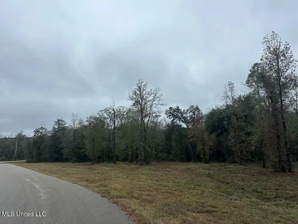 $135,000 | Bent Creek, Carriere, MS 39426